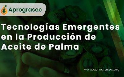 Tecnologías Emergentes en la Producción de Aceite de Palma